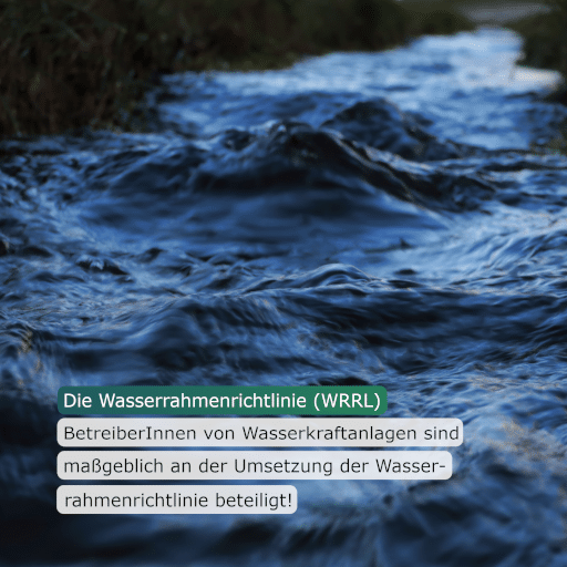 Wasserrahmenrichtlinie (WRRL) / Water Framework Directive (WFD) 